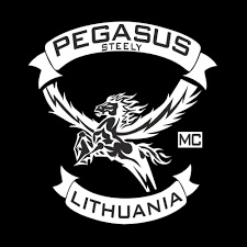 STEELY PEGASUS MC